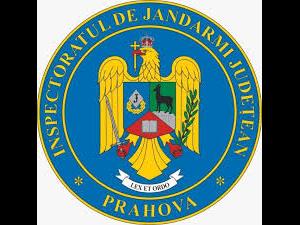 Inspectoratul de Jandarmi Județean Prahova angajează tâmplar, îngrijitor și electrician