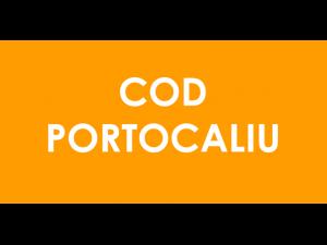 COD PORTOCALIU de vijelii cu grindină în câteva localității din Prahova 