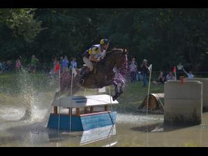 Tarife avantajoase pentru biletele și abonamentele la Karpatia Horse Show cumpărate până pe 25 septembrie