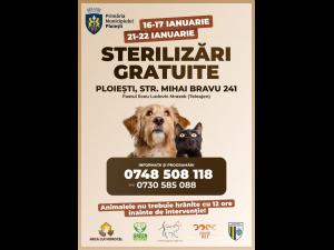 Sterilizari gratuite in Ploiesti