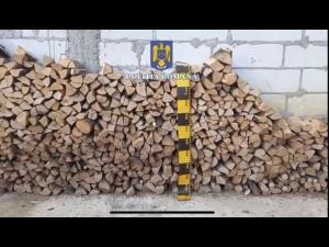 Percheziții la persoane bănuite de tăiere fără drept și furt de arbori din fondul forestier național
