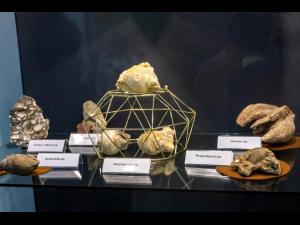 Piese din patrimoniul Muzeului Județean de Științele Naturii Prahova expuse la Piatra Neamț în cadrul expoziției ”Geometrie din adâncul Pământului - Roci și Fosile”