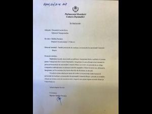 Catalina Bozianu, deputat PMP, ii cere explicatii Ministrului Transporturilor cu privire la posibila renuntare a constructiei Autostrazii Comarnic-Brașov