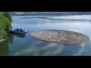 FOTO Cum arata lacul Bicaz, in urma viiturilor. Este organizata o actiune de ecologizare