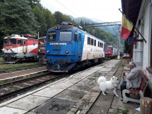  Traficul feroviar intre Predeal - Timișu de Sus, închis temporar 