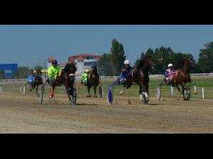 Duminică spectaculoasă pe hipodrom: trap, galop, ponei, licitație de cai șiâ€¦ streetfood!