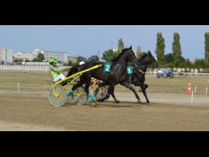 Show pe Hipodromul Ploiești: Derby-ul de Trap al României are loc duminică!